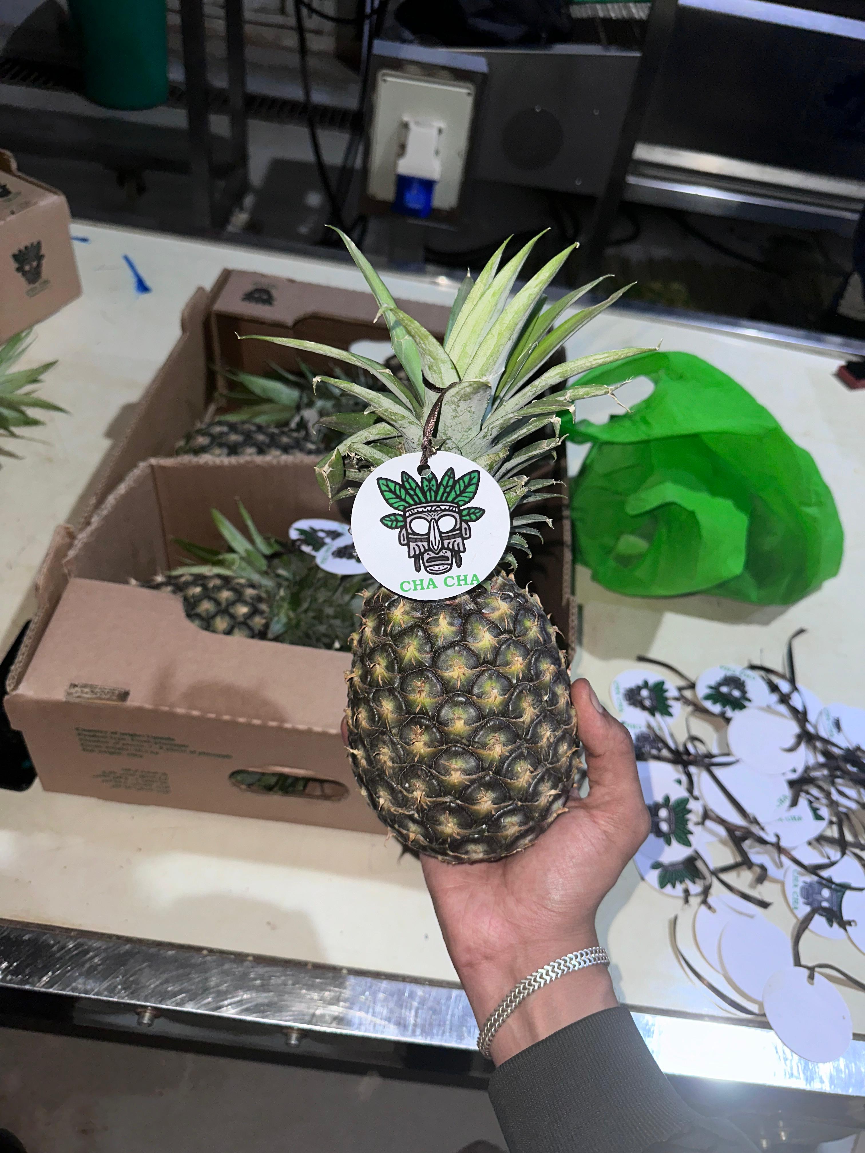Pineapple