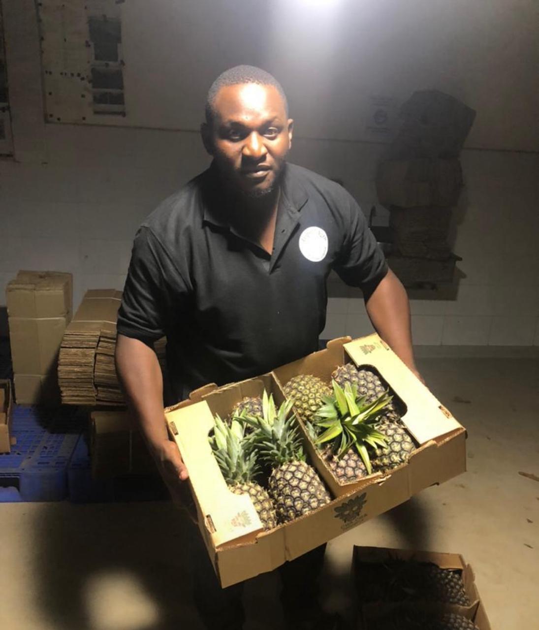 Pineapple