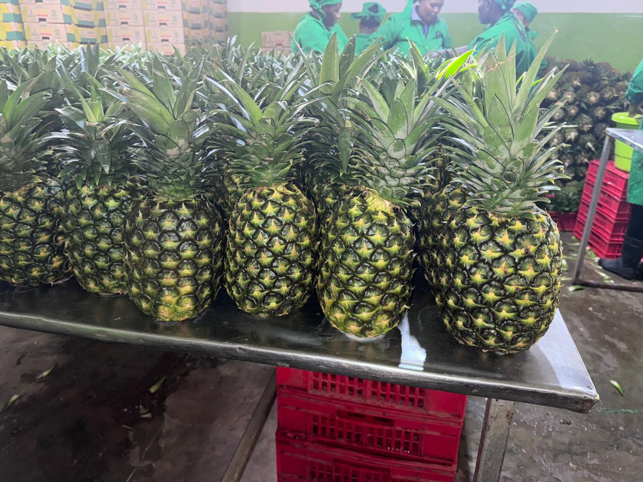 Pineapple